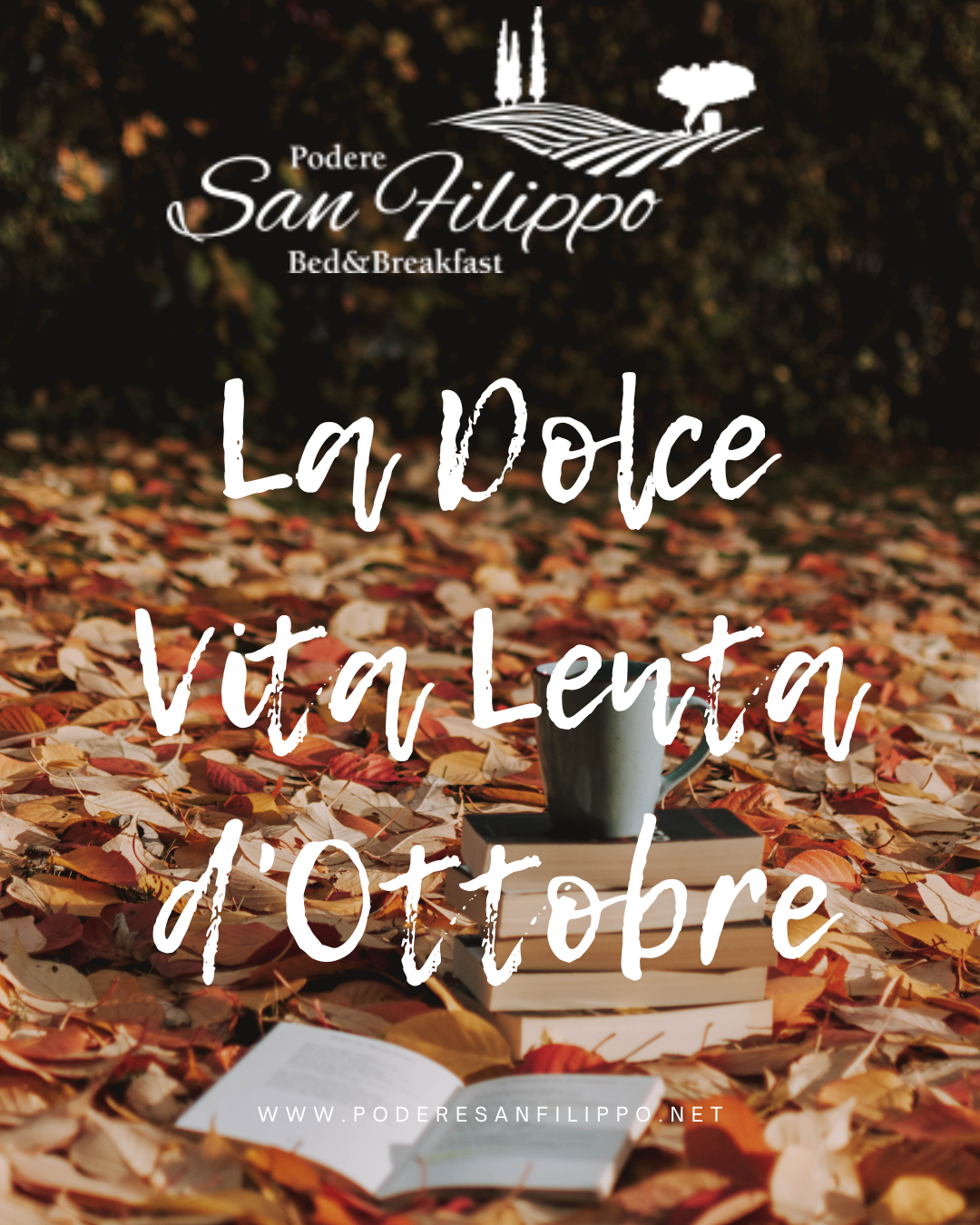 The Slow Sweet Life of October